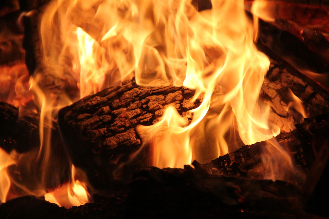 Professional Fireplace Cleaning Services In Forest Park Illinois